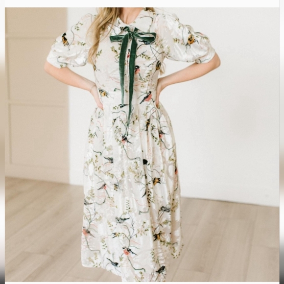 Ivy City Co Dresses & Skirts - NWT Ivy City Crushed Velvet Dress With Birds And Bow Size XL